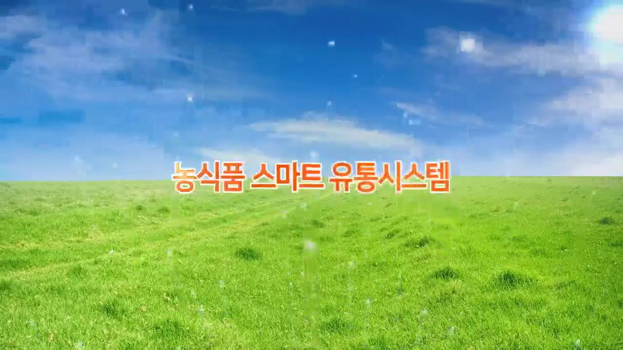 [디지털전환(DX)시대의 농식품 스마트 유통물류] 농식품 스마트 유통시스템